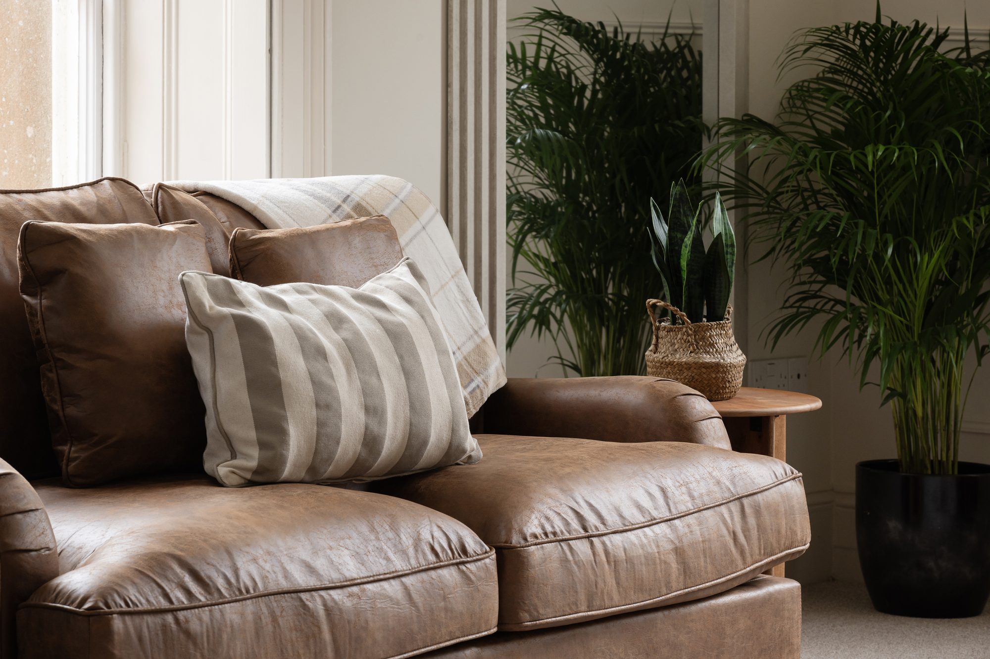 Tan leather sofa with striped cushion, beside two tall potted palms in a sunlit panelled room