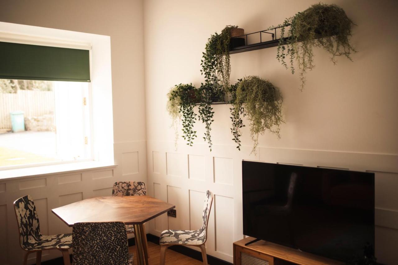 Snug dining nook with hexagonal table, patterned chairs, mounted TV and shelves of trailing plants