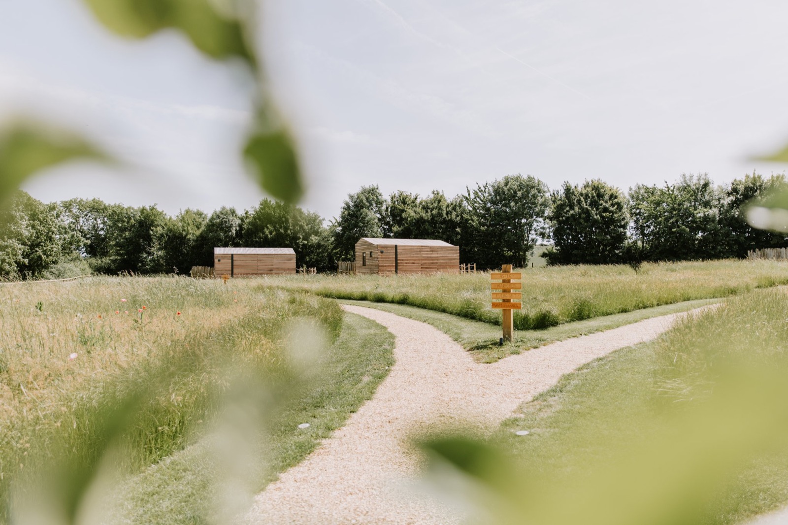Mown path winding through a summer wildflower meadow towards the cabins, The Wildflower Cabins